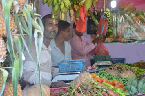 slika 11- SvežeSadje.com