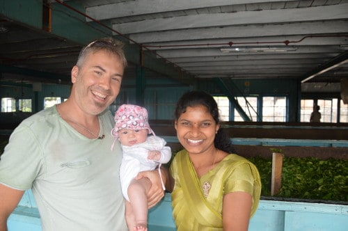 Ogled pridelave čajev