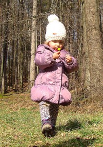 Rožice so že veselo hitele na površje zemlje, Laura pa je delala šopek za mamico.