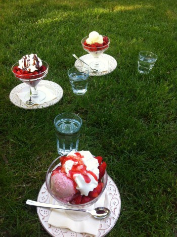 V Čolnarni smo se posladkali z najbojšimi jagodnimi kupami.