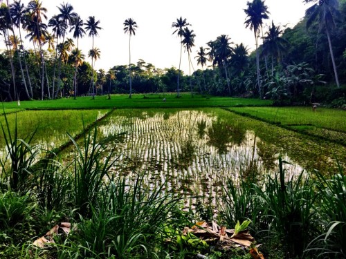 17. Potepanje po podeželju