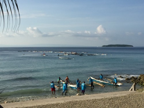 29. Na plavanje s kitovci je potrebno priti čimbolj zgodaj