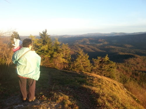 Špičasto Stražišče, pogled iz vrha proti Snežniku
