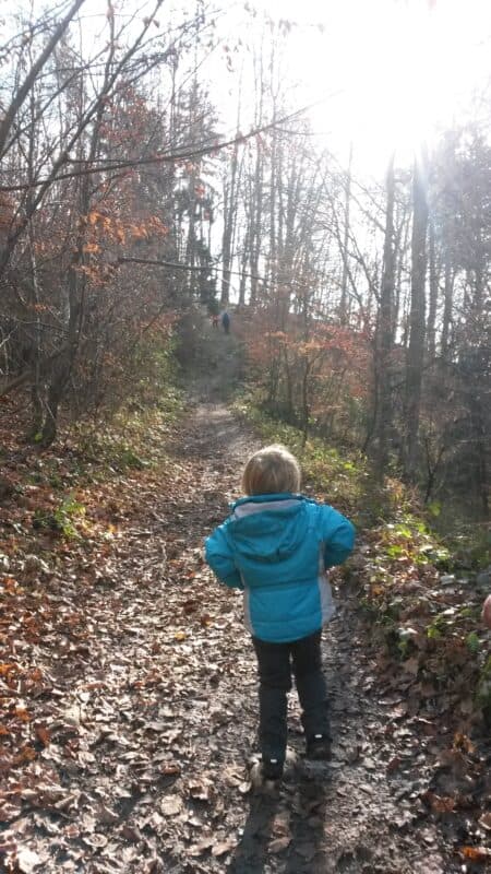Gozdno pot na Rašico bodo zmogli tudi manj izkušeni pohodniki