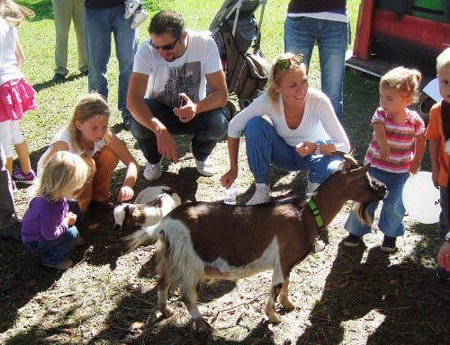 Božanje kozic v na festivalskem mini ZOOju, Velenje