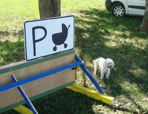 Nujno potrebno parkirišča za otroške vozičke, Velenje