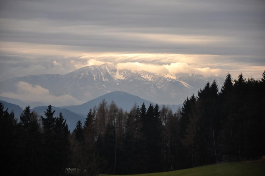 DSC_0298 (1)