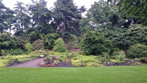 Botanični vrt v Edinburg-u, Škotska z otroki