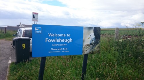 Ptičji klifi, Škotska