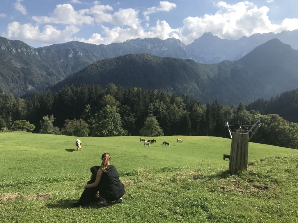 Razgled s Turisticne kmetije Žibovt, Solčavska panoramska cesta