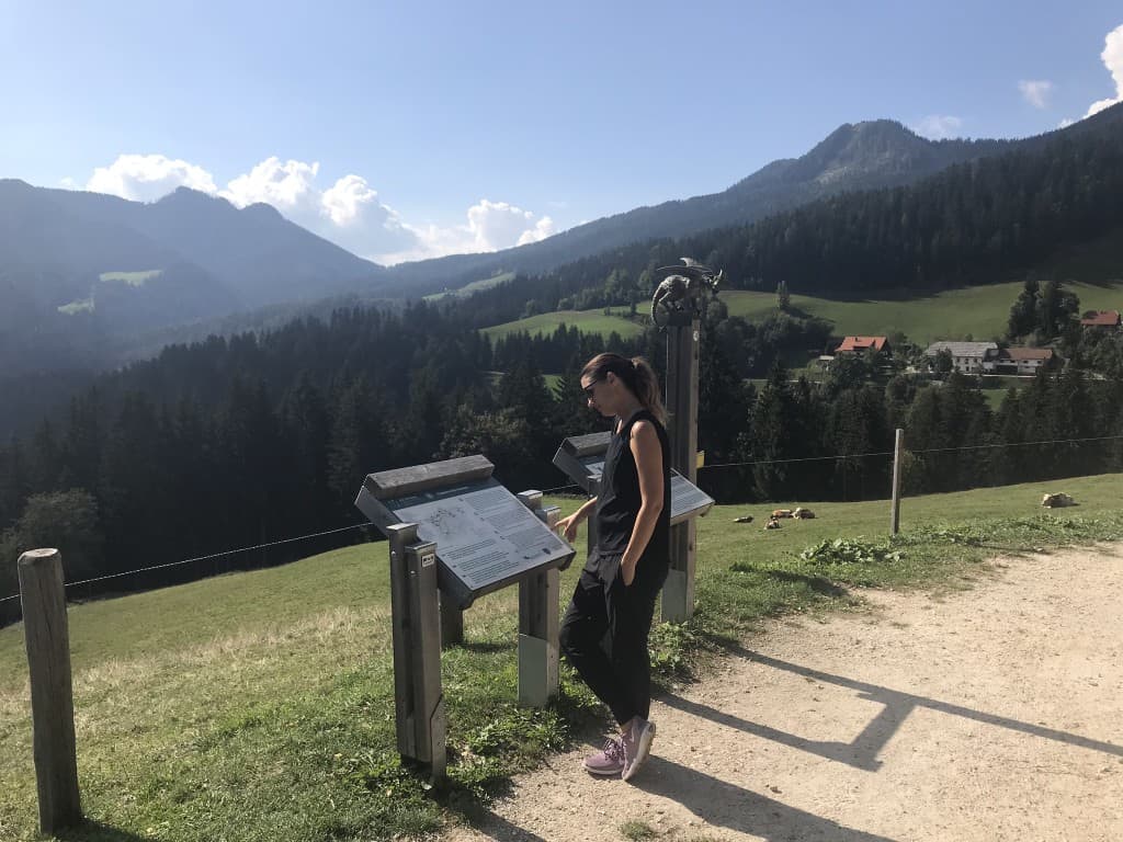 Razgled s postojanke Pastirkovo, Solcavska panoramska pot
