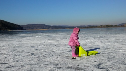 Najlepše je na Cerkniškem jezeru dopoldne, na lep, hladen, sončen dan